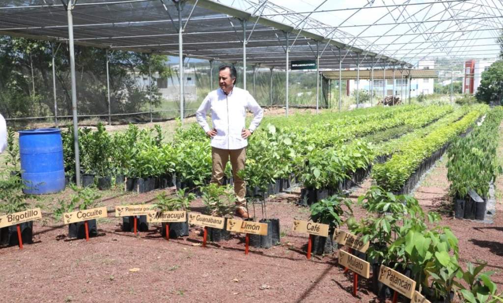 #Veracruz Con un tuit o meme no se cambia el medio ambiente: Cuitláhuac&nbsp;García