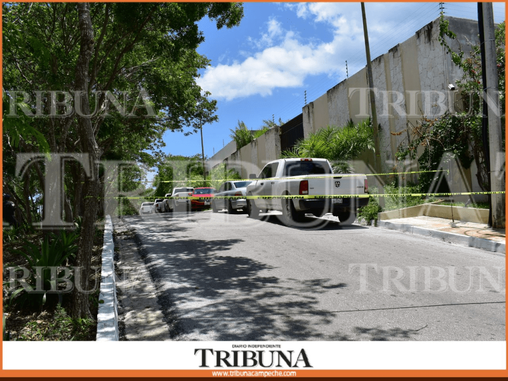 #Campeche Catea #Sansores predios&nbsp;privados