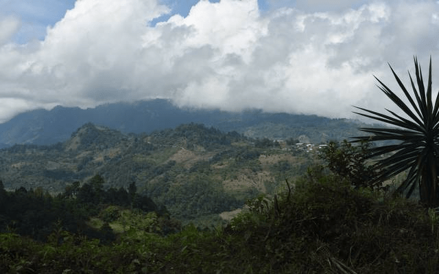 #ChiapasTerror en #Pantelhó: Habitantes denuncian disparos y bloqueos&nbsp;carreteros