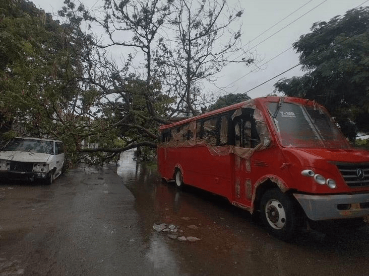 #Veracruz Lluvias provocan caída de árbol en&nbsp;#LasBrisas