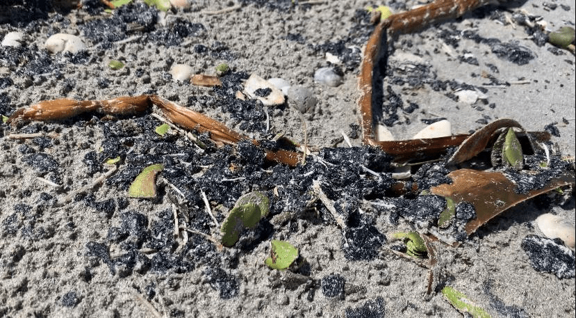 #Carmen Graves daños a salud y&nbsp;ecología