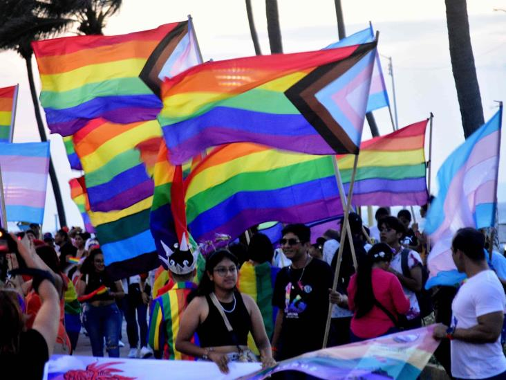 #Veracruz Marcha de la #DiversidadLGBT+, este domingo 16 de&nbsp;julio