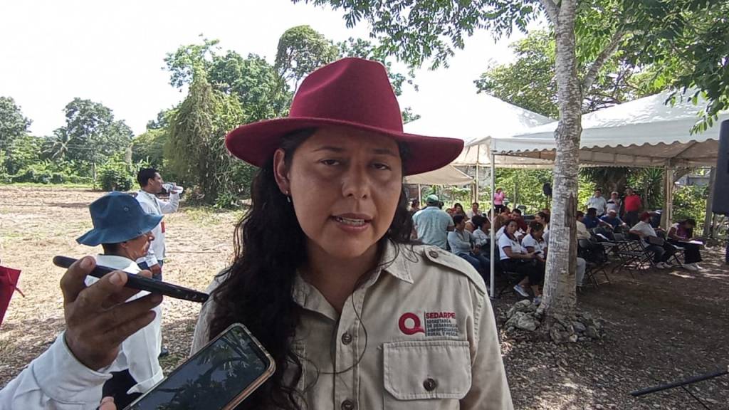 #QuintanaRoo Carece campo quintanarroense de seguro para&nbsp;emergencia