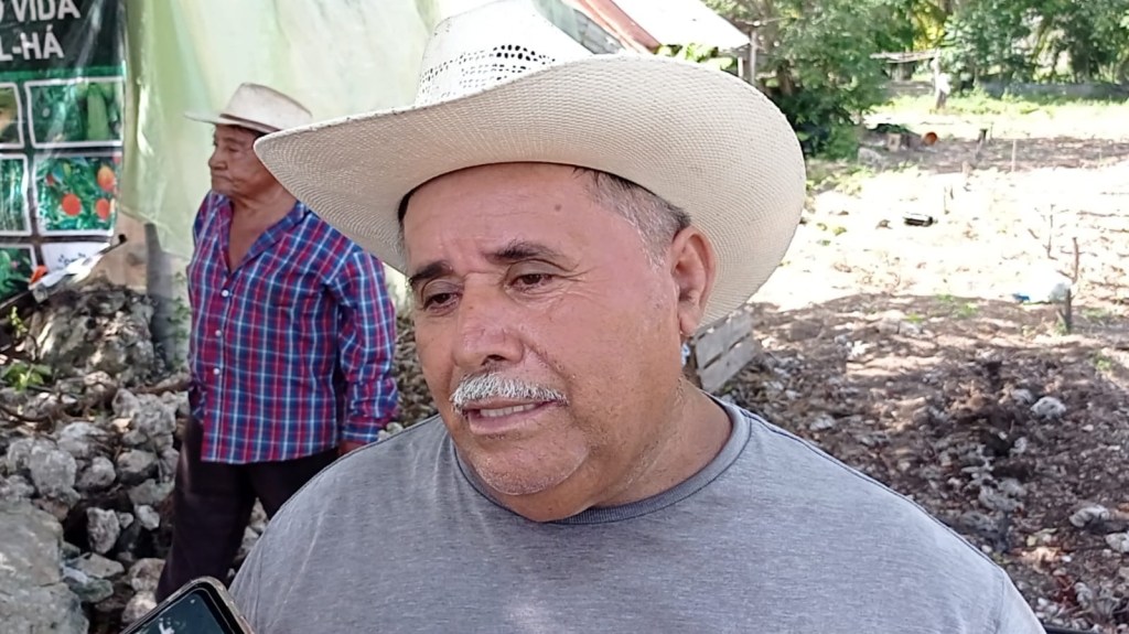 #QuintanaRoo Incumplen con reglas de operación 30% de los beneficiaros del programa “Sembrando Vida” en la zona&nbsp;sur