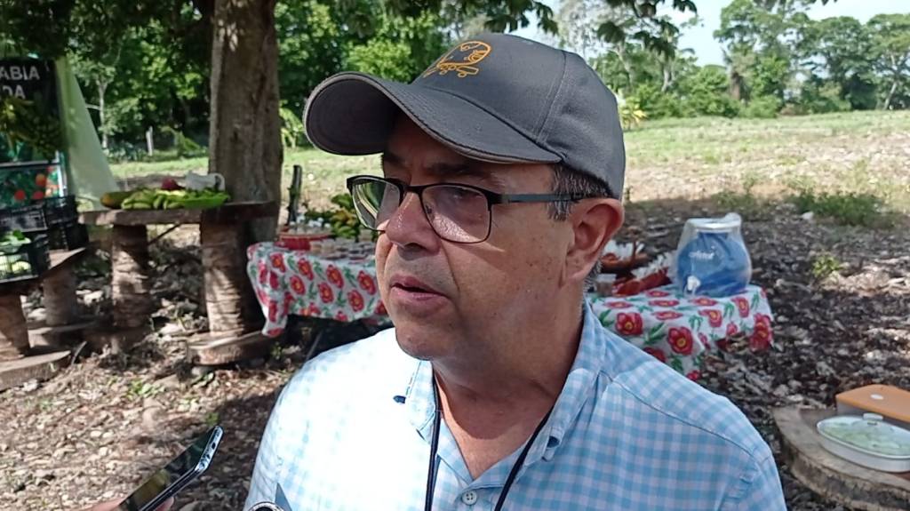 #QuintanaRoo Genera cambio climático bajo rendimiento del campo; se ubica por debajo del promedio nacional, asegura&nbsp;#Sedarpe