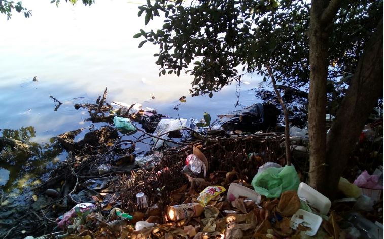 #Campeche Exhortan a no tirar basura en&nbsp;playas