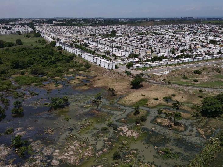 #Veracruz #RíoMedio, al borde de la extinción por relleno y construcción de&nbsp;vivienda