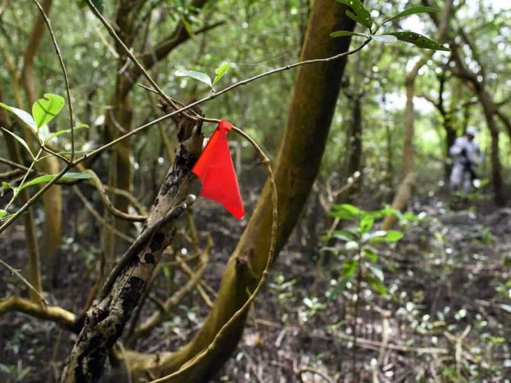 #Veracruz, el estado con más fosas clandestinas en&nbsp;#México