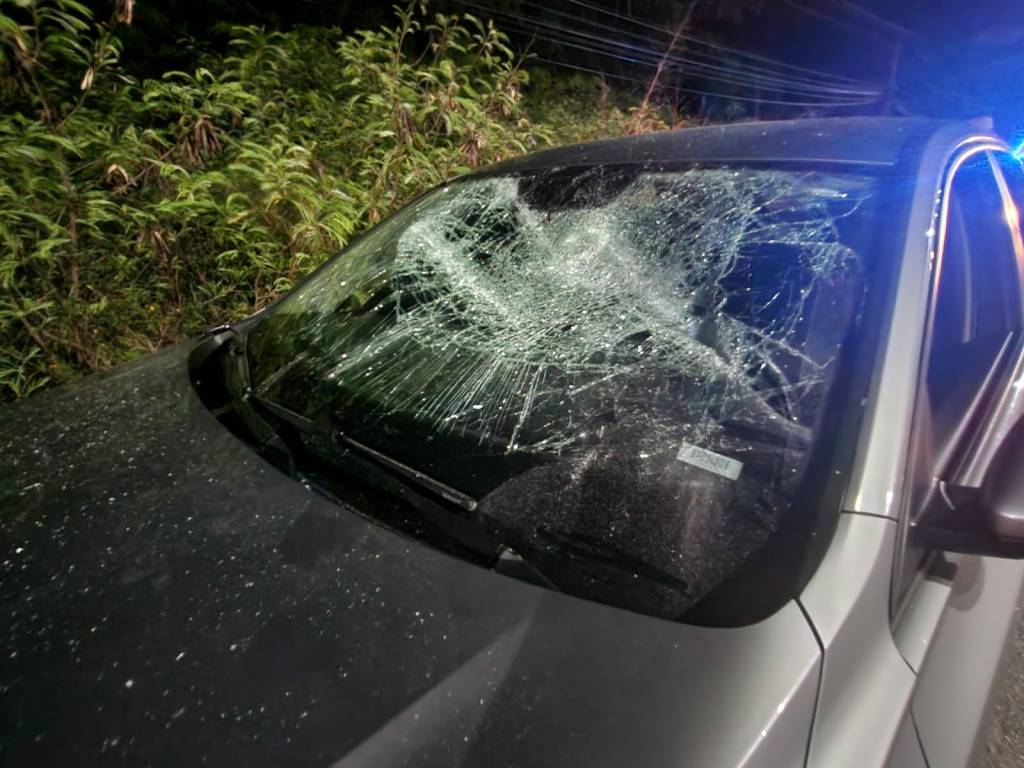 #QuintanaRoo Respaldan restauranteros de #Cancún castigo ejemplar a taxistas&nbsp;agresores