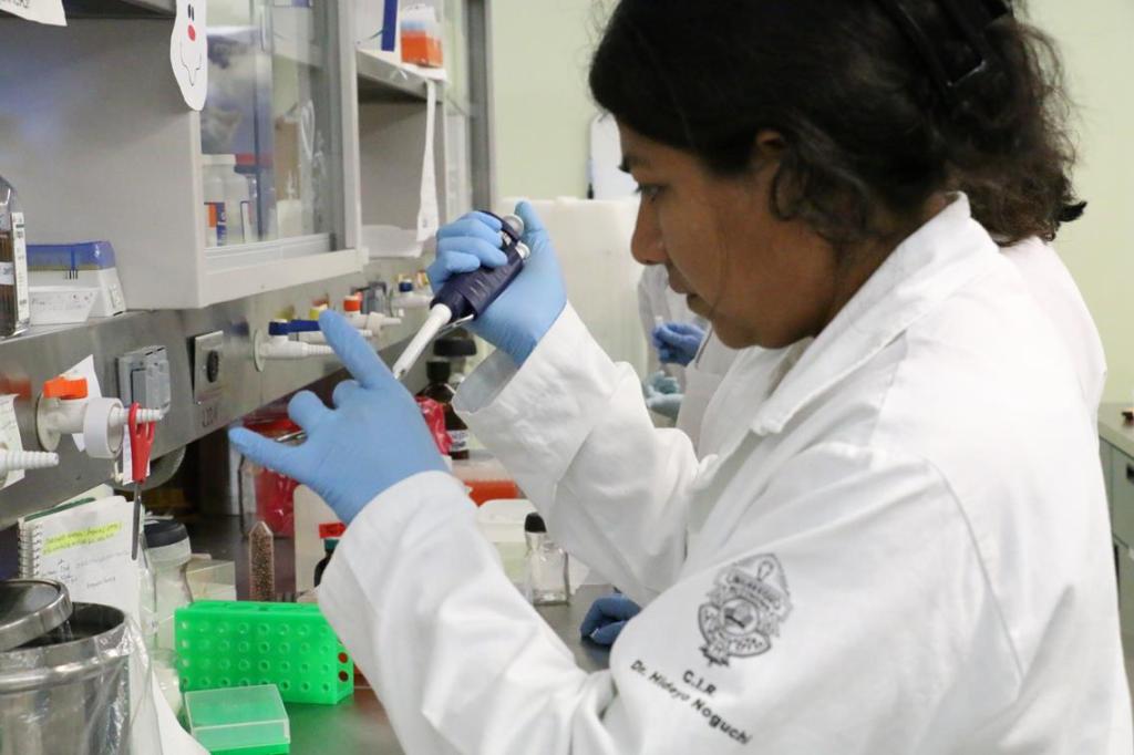 #Yucatán Hacen un llamado a la ciudadanía para sumarse a la lucha contra el&nbsp;Dengue