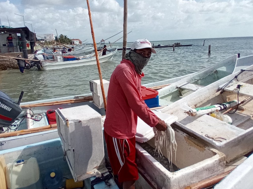 #Campeche Crítica temporada de&nbsp;pulpo