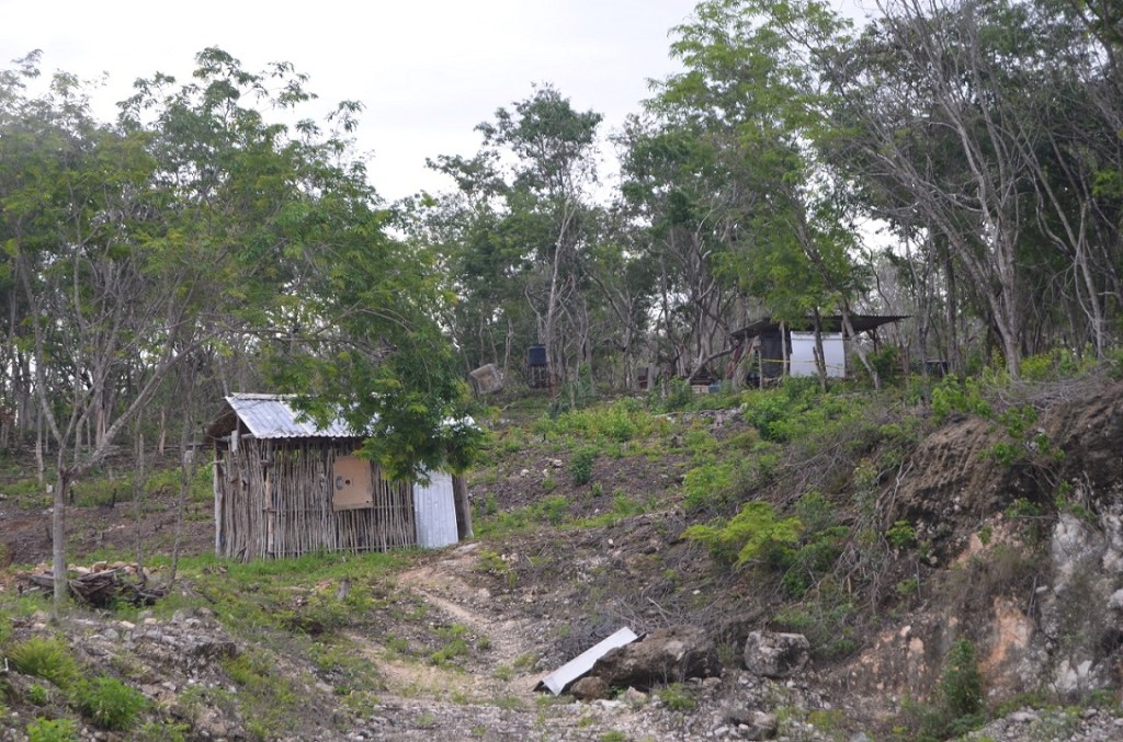 #Campeche Procuraduría Agraria no tiene injerencia en caso San&nbsp;Eduardo