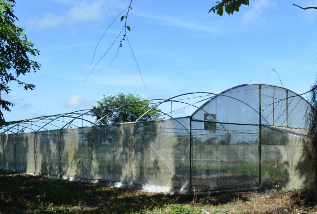 #Campeche Fracasan proyectos&nbsp;productivos