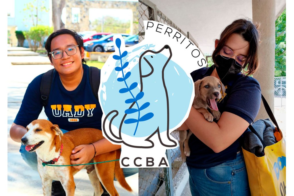 #Yucatán Estudiantes #UADY rescatan perritos para darles una mejor calidad de&nbsp;vida