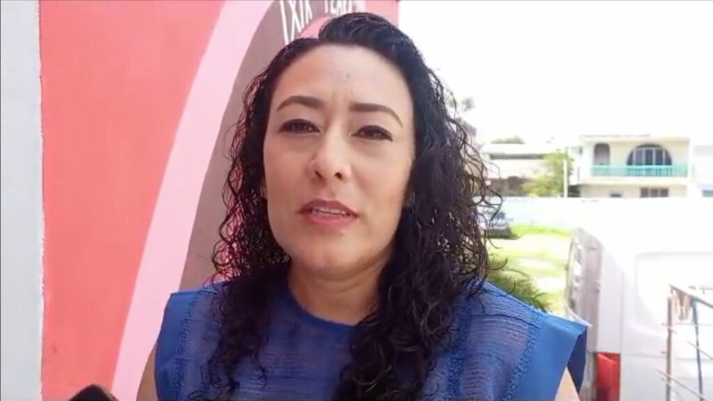 #Campeche Sin sanción por muertes de&nbsp;abejas