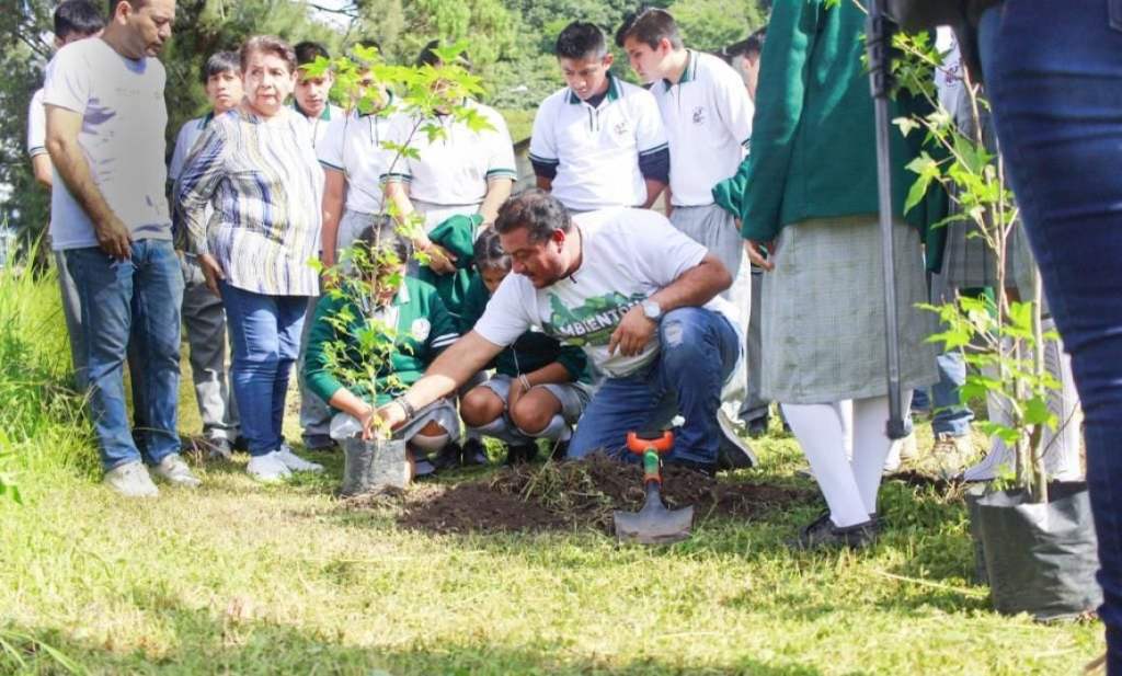 #Veracruz En Orizaba, festival ecológico&nbsp;Ambientón