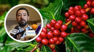 #Veracruz, segundo estado exportador de café en&nbsp;#México