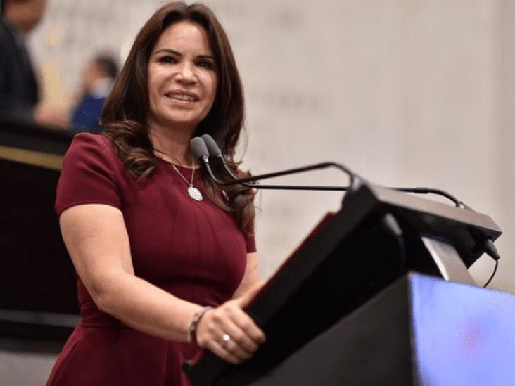 #Veracruz Se registra #MónicaRobles como aspirante a Coordinación de los Comités para la defensa de la&nbsp;#4T