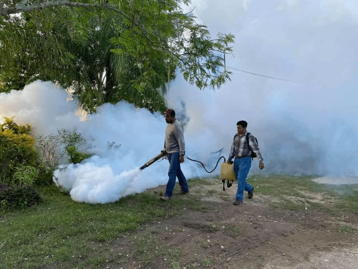 #Veracruz, segundo estado con más casos de dengue en&nbsp;#México