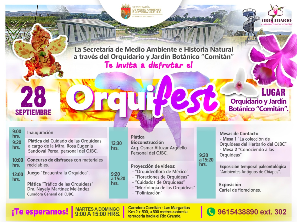 #Chiapas Realizará #Semahn “#Orquifest” en el Orquidiario y Jardín Botánico&nbsp;#Comitán