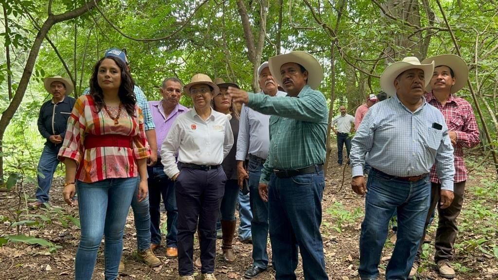 #Chiapas Participa #Semahn en III Simposio de Investigación, Manejo y Prácticas de Conservación de las #ANP del Complejo&nbsp;#SelvaZoque