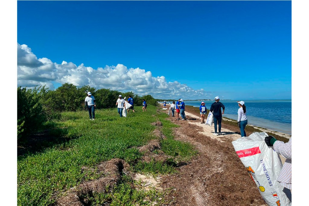 #Yucatán Voluntariado #UADY participa en la limpieza de&nbsp;playas