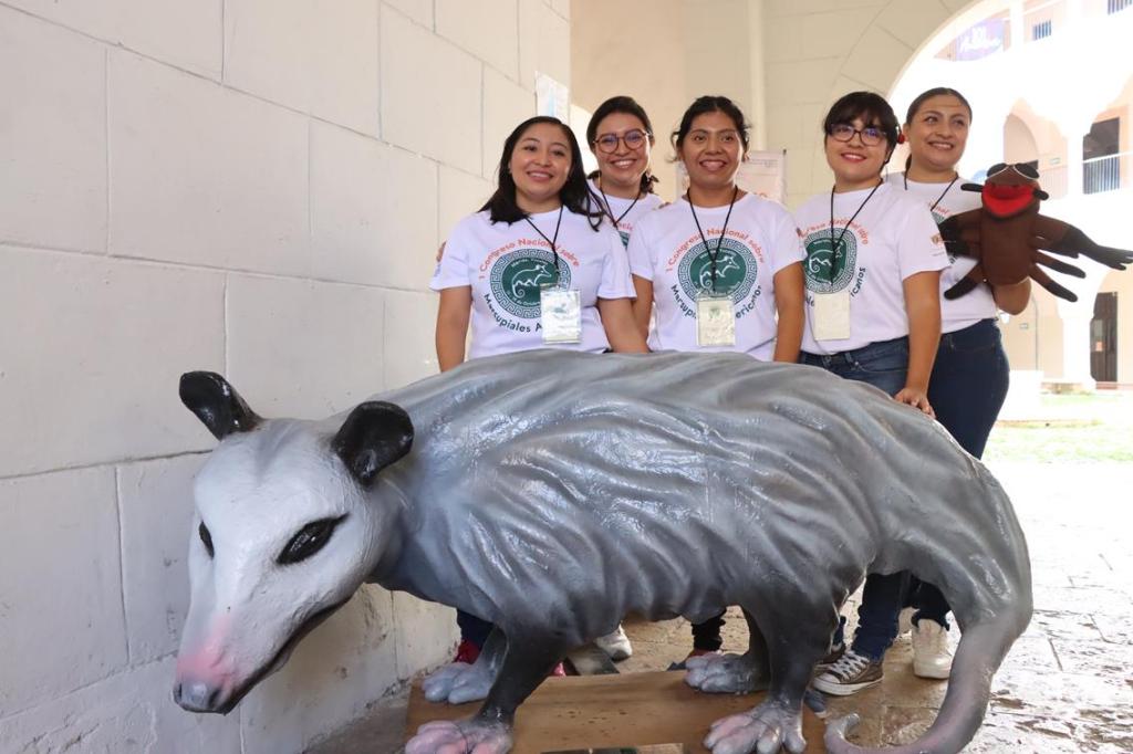 #Yucatán Inauguran el Primer Congreso de Marsupiales Americanos 