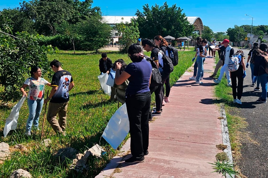#Yucatán Reconocen a la Unidad Multidisciplinaria de #Tizimín como Espacio Libre de Tabaco 