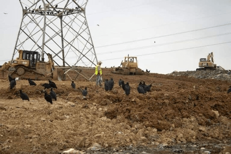 #Veracruz Conflicto de basurero de #LasMatas en #Coatzacoalcos se está atendiendo, asegura&nbsp;#AMLO