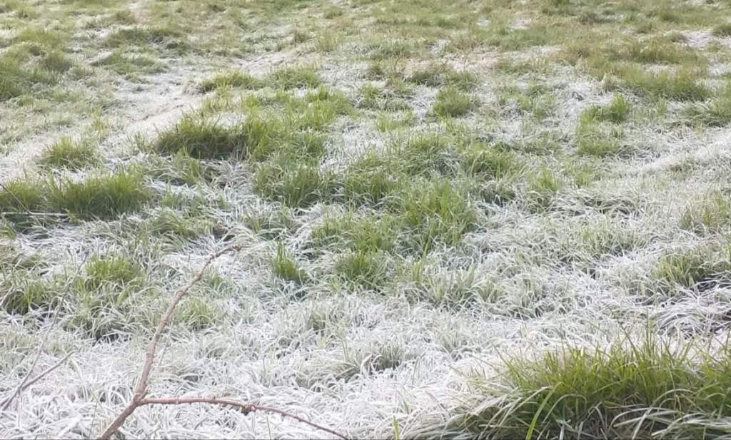 #Veracruz Reportan heladas municipios&nbsp;veracruzanos