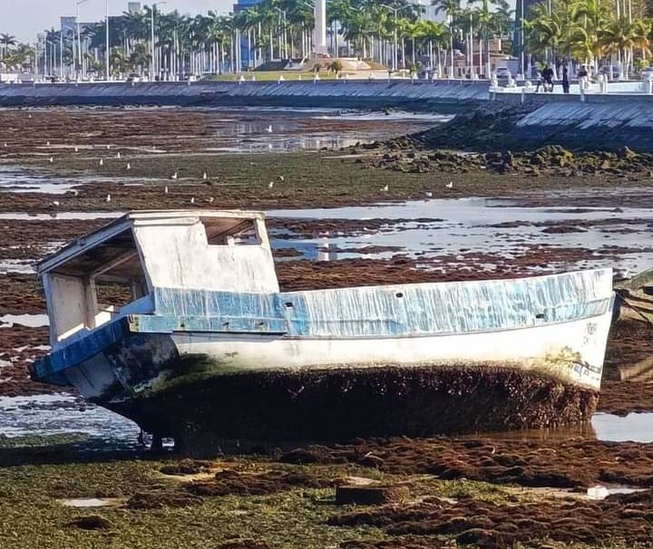 #Campeche Mal tiempo “vacía” el mar en la&nbsp;bahía
