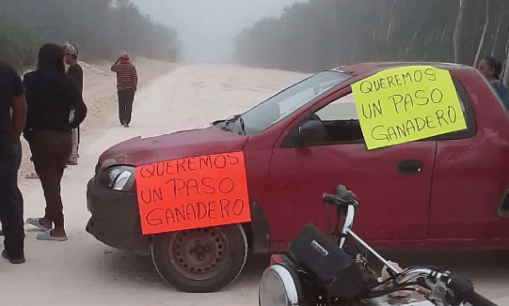 #QuintanaRoo Ejidatarios bloquean paso de obras del Tren&nbsp;Maya