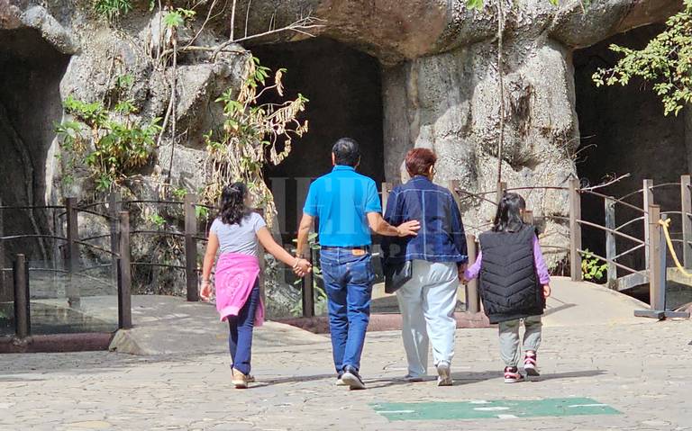 #Chiapas ¡La alegría del ZooMAT! Cientos de familias llegan este&nbsp;domingo