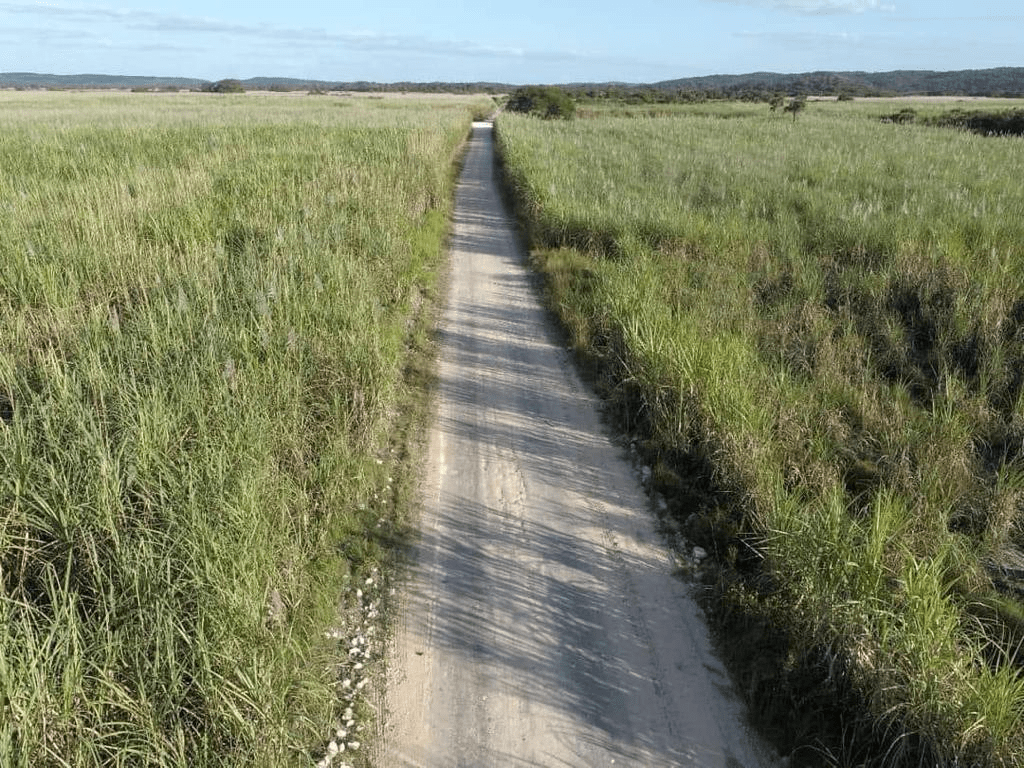 #Campeche 670 kilómetros de camino sacacosecha con gobierno de&nbsp;#Layda