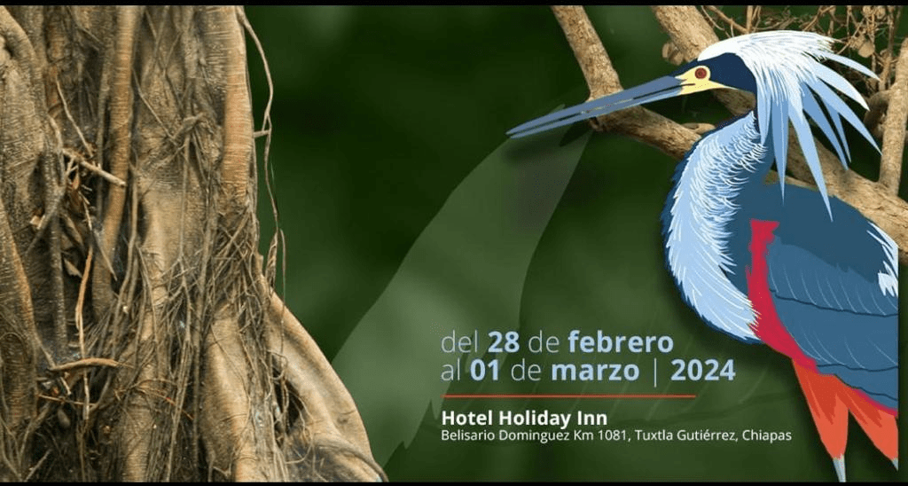 #Chiapas Todo listo para la quinta edición del festival de aviturismo más grande de #México: Chiapas Birding and Photo&nbsp;Festival