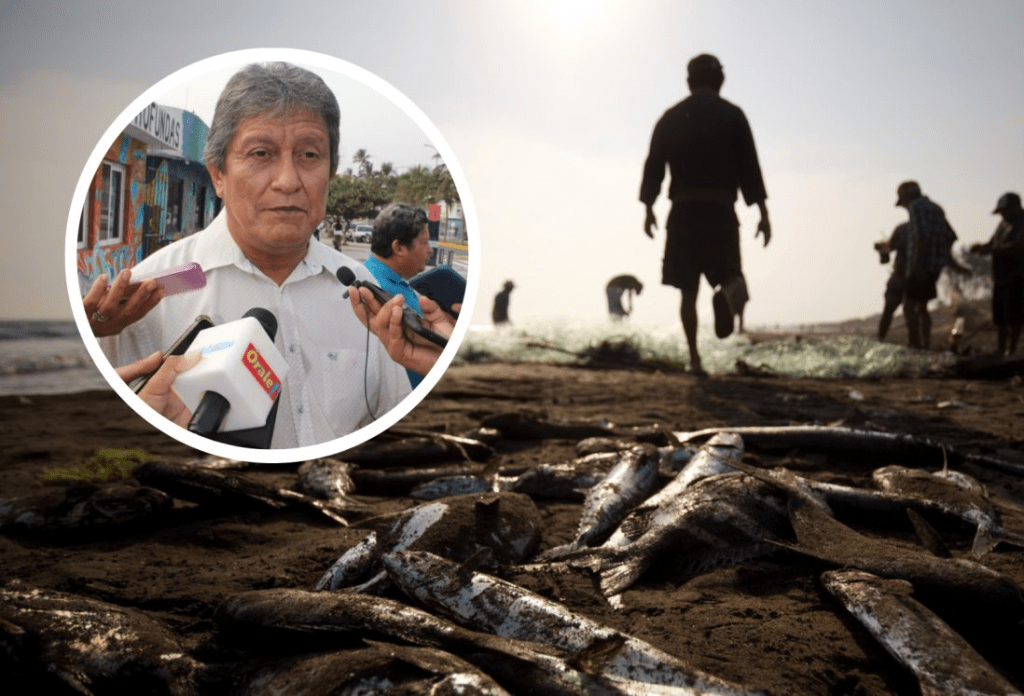 #Veracruz Pescadores se ven afectados en un 80% por la baja producción de especies en&nbsp;2023