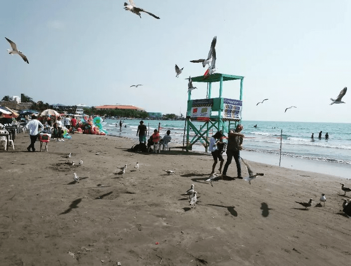 #Veracruz registra saldo positivo en afluencia turística por vacaciones de fin de&nbsp;año