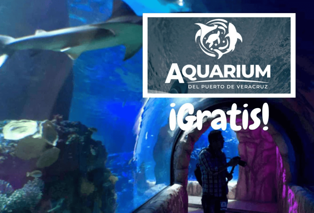 #Veracruz Así podrás obtener tu boleto gratis para acudir al Acuario este&nbsp;martes