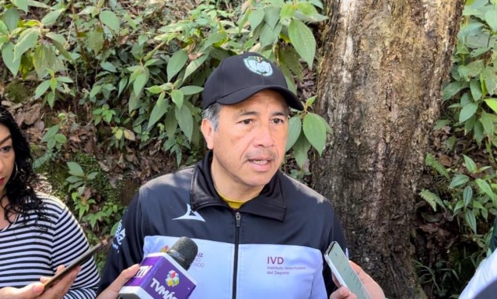 #Veracruz Si alcaldesa de Acayucan no puede con el cargo, que renuncie:&nbsp;Cuitláhuac