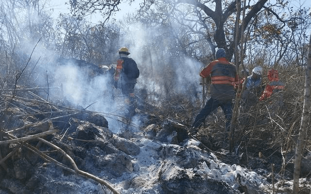 #Chiapas Bajo control el incendio en el Parque Nacional Cañón del&nbsp;Sumidero