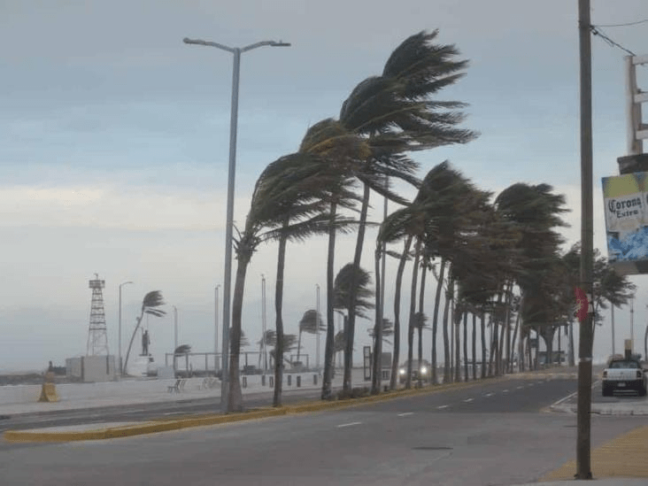 #Veracruz Estos serán los efectos del frente frío&nbsp;32