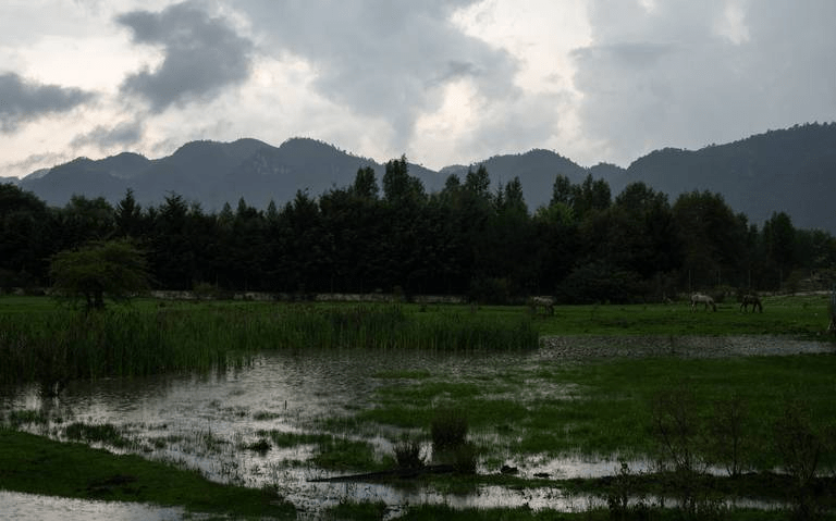 #Chiapas Humedales en #SanCristóbaldelasCasas dañados por constructoras sin&nbsp;autorización