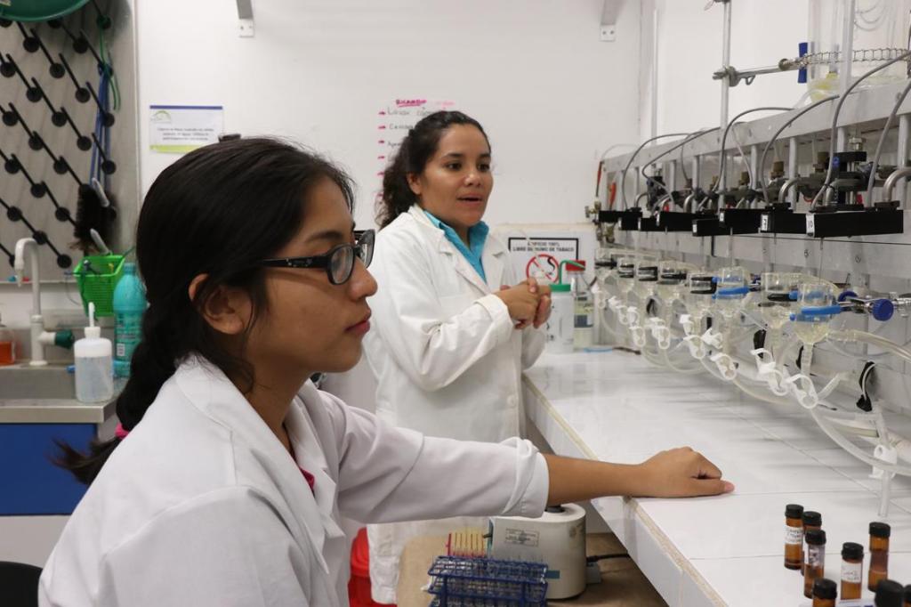 #Yucatán Hacen un llamado a fomentar la ciencia en las&nbsp;niñas