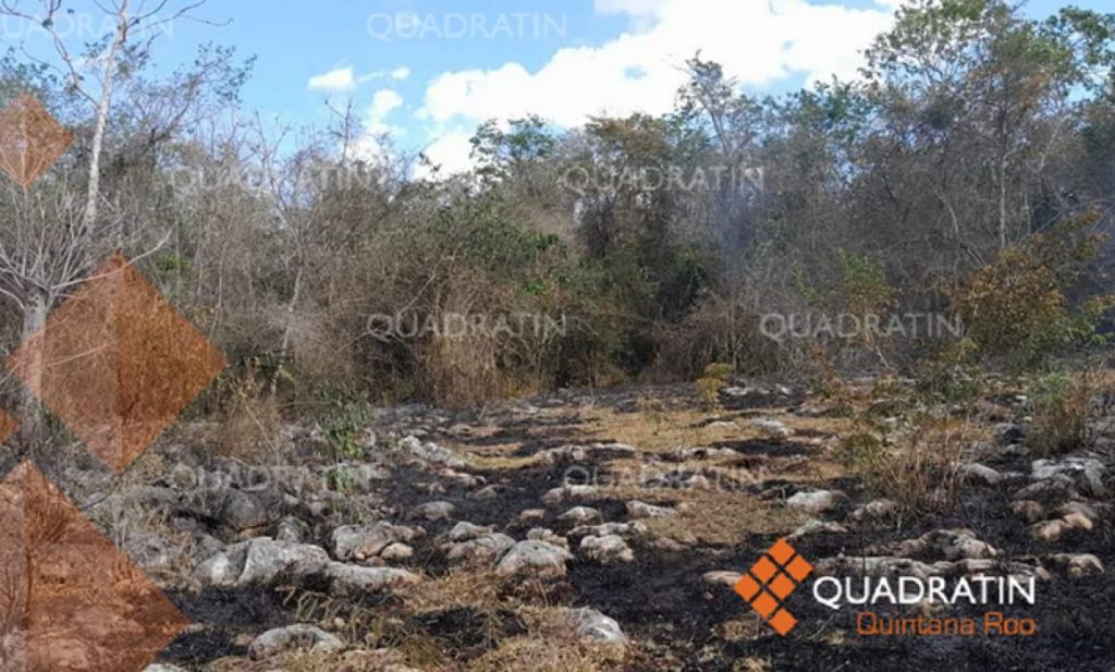 #QuintanaRoo En riesgo 3.8 millones de hectáreas en Quintana&nbsp;Roo