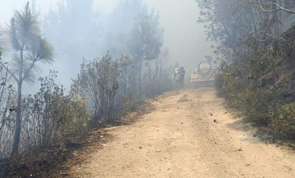 #Veracruz Quema agrícola provocó incendio en Altas Montañas; afectadas 620&nbsp;hectáreas