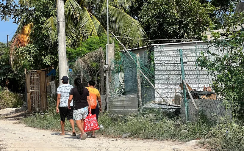 #QuintanaRoo Ubican más invasiones de propiedad en el norte de&nbsp;#Cancún