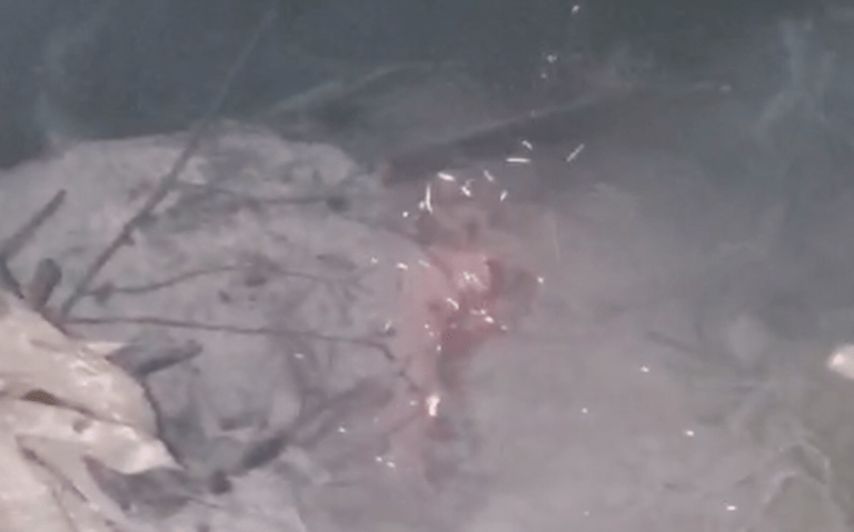 #Chiapas Temen chiapanecos por presunto nacimiento de volcán en&nbsp;#Chamula