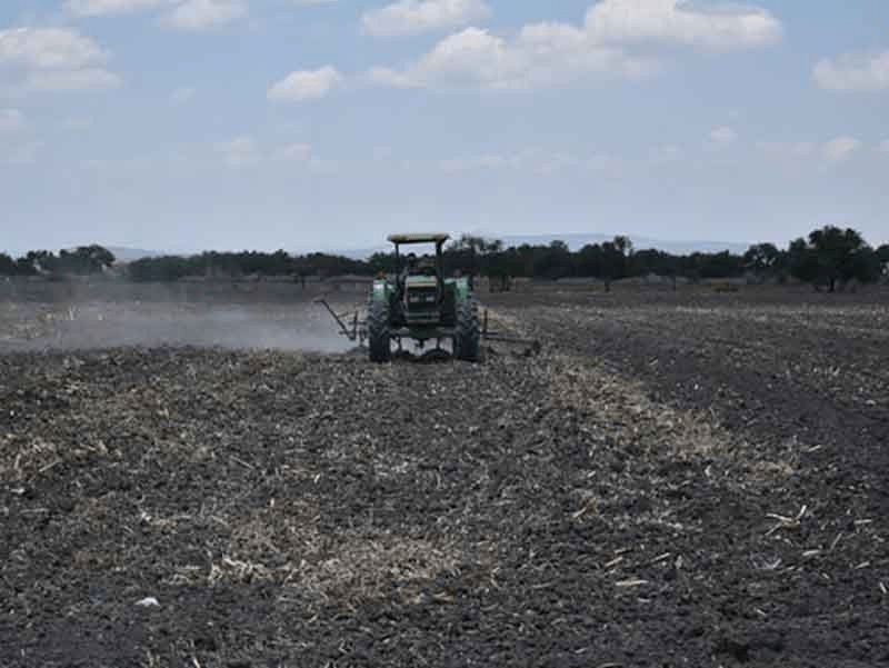 #Chiapas El 30 % del campo, siniestrado por&nbsp;sequías