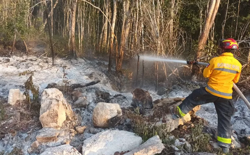 #QuintanaRoo Sin incendios forestales hasta ahora en&nbsp;#Solidaridad