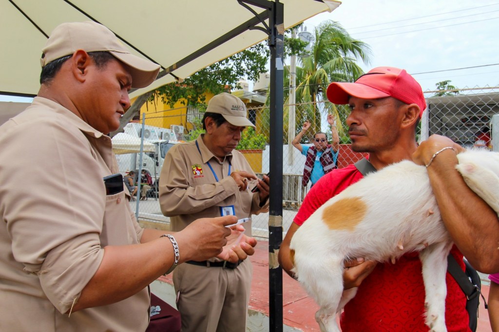#Campeche Refuerzan acciones permanentes contra la rabia en&nbsp;Campeche